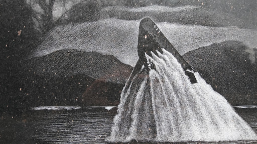 Auditorium «Ocean Springs Civic Center», reviews and photos, 3730 Bienville Blvd, Ocean Springs, MS 39564, USA