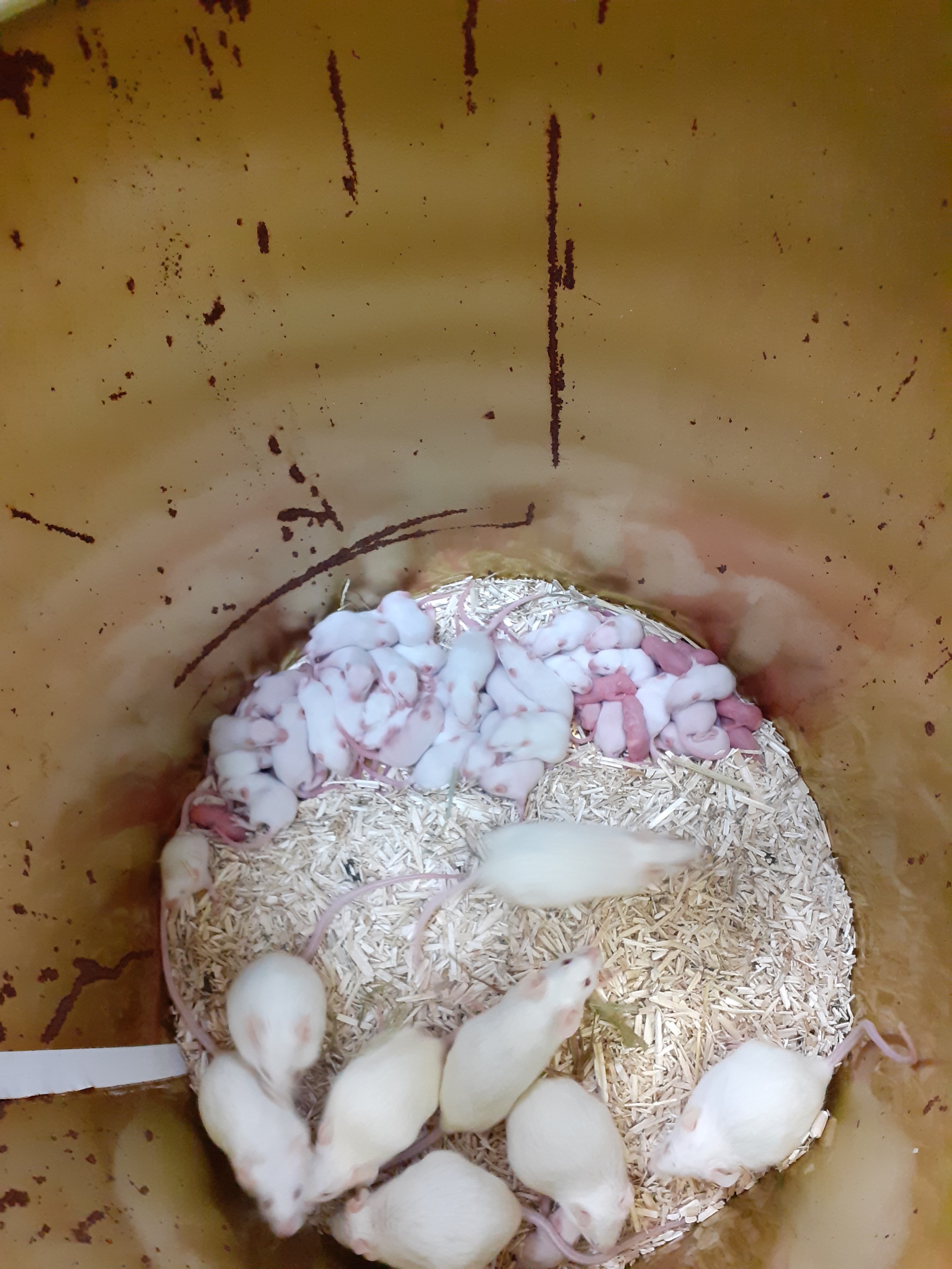 Photo n° 2 de l'avis de Rilou.a fait le 30/12/2019 à 11:06
