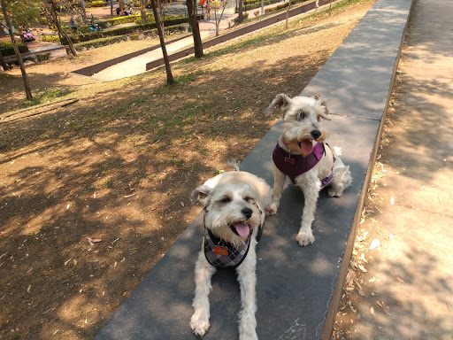 Parques ir con perros Ciudad de Mexico