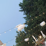 Photo n°1 de l'avis de Fabiola.e fait le 14/07/2022 à 12:13 sur le  Centro rurale di ristoro e degustazione Il Vecchio Olmo à Civitanova Marche