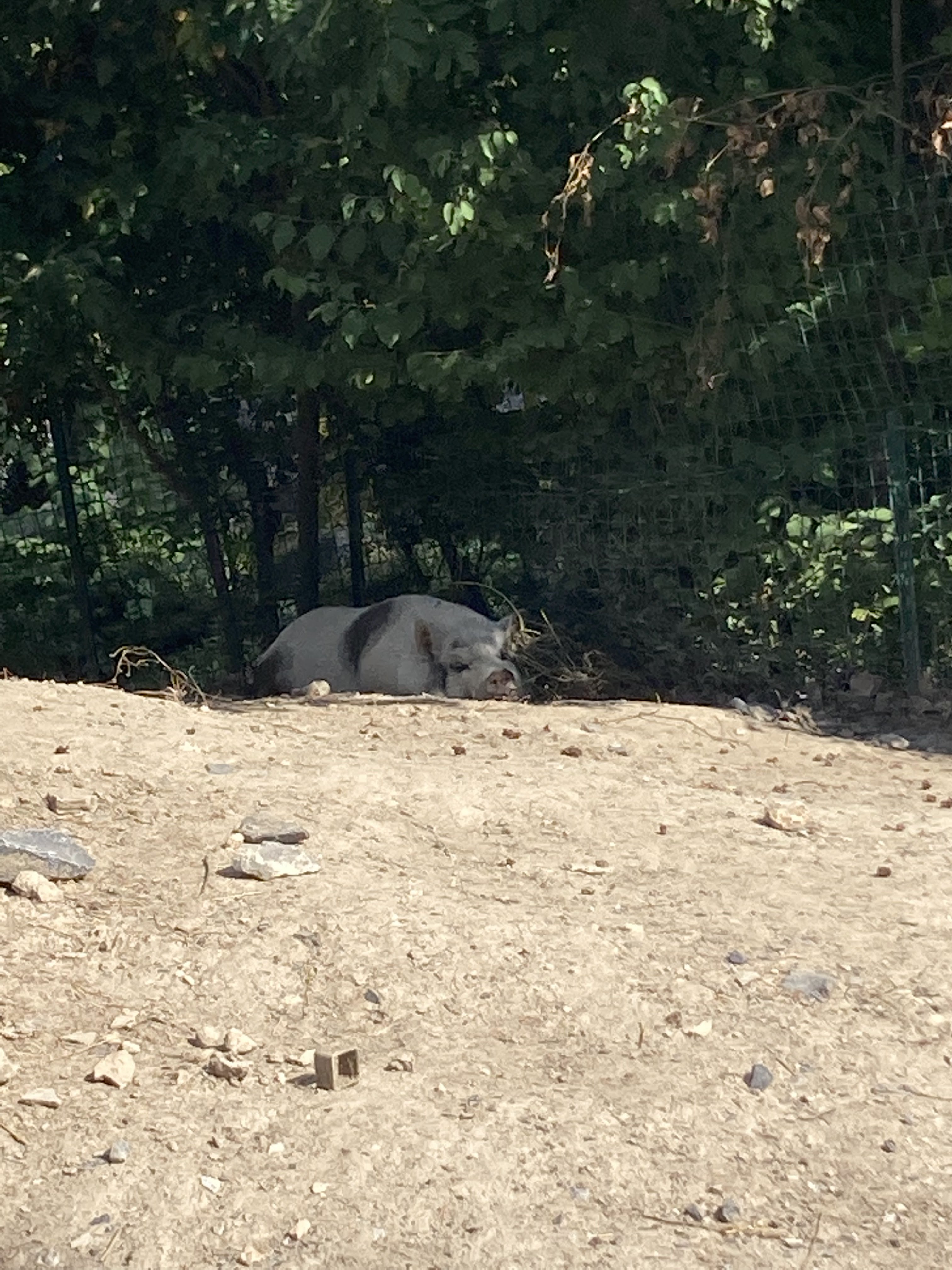 Photo n° 9 de l'avis de Laurianne.o fait le 26/08/2022 à 16:16