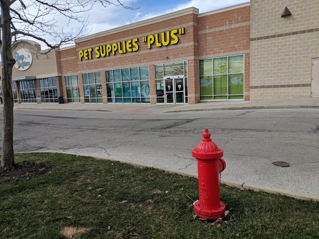 Pet Supplies Plus Reynoldsburg