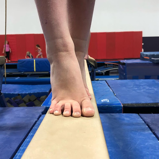 Gymnastics Center «Libertyville Gymnastics Academy», reviews and photos, 2610 Commerce Dr, Libertyville, IL 60048, USA