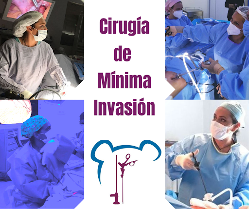 Dra Gabriela Ambriz González, Cirujano Pediátra, Cirugía laparoscópica