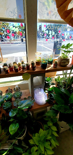 Toy Store «Zonkey», reviews and photos, 161 Jackson St, San Jose, CA 95112, USA