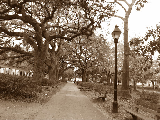 Picnic ground Savannah