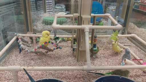 Pet Supply Store «Pet Supermarket», reviews and photos, 32560 US Hwy 19 N, Palm Harbor, FL 34683, USA