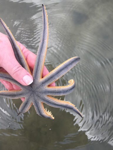 Aquarium «The River Center», reviews and photos, 805 US-1, Jupiter, FL 33477, USA