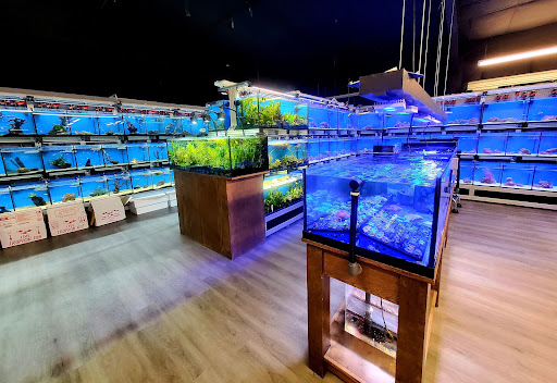 Pet Store «Bluewater Zoo Exotic Aquariums & Reptiles», reviews and photos, 159 Miracle Strip Pkwy SE, Fort Walton Beach, FL 32548, USA