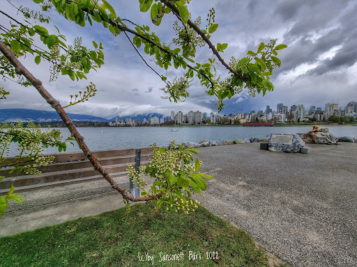 Elsje Point, Vancouver, BC V6J 1A3
