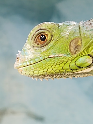 Pet Supply Store «Petco Animal Supplies», reviews and photos, 1415 E Warner Rd, Gilbert, AZ 85296, USA