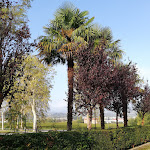 Photo n°14 de l'avis de Jörg.o fait le 20/10/2019 à 21:36 sur le  RISTORANTE e Hotel Al Giardinetto à Colle Umberto