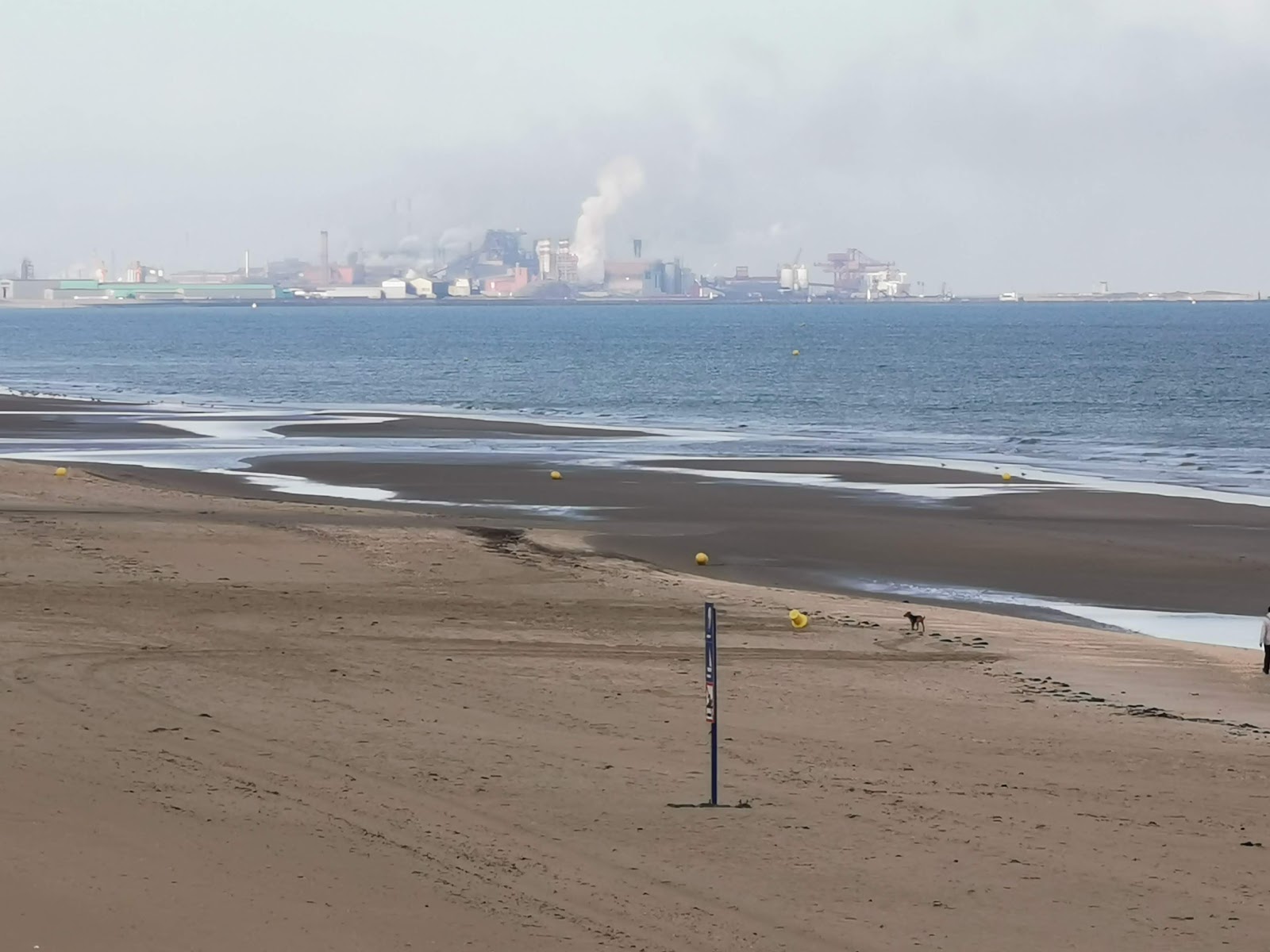 Plage Bray Dunes photo #7