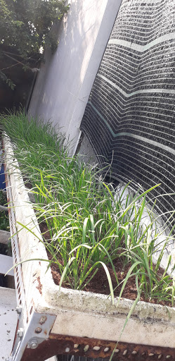 Top 20 cửa hàng thông minh Thị xã Bà Rịa Bà Rịa Vũng Tàu 2022