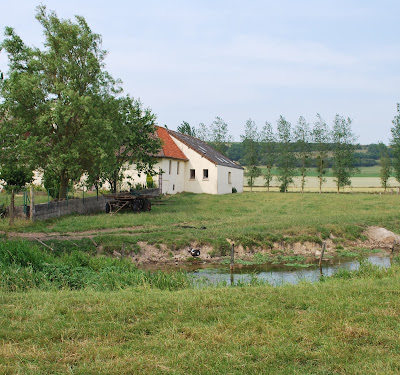 Ferme Du Monthois à Beaurainville