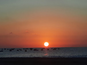 Photo n°62 de Tamaris à Calcatoggio ()