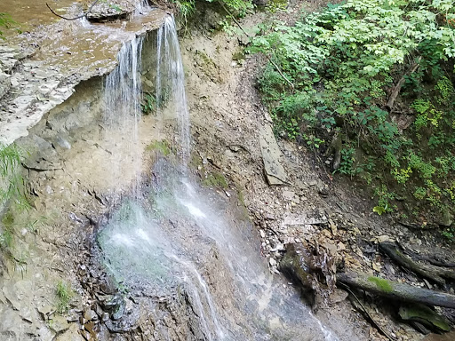 Nature Preserve «Kokiwanee Nature Preserve», reviews and photos, 5825 E 50 S, Lagro, IN 46941, USA