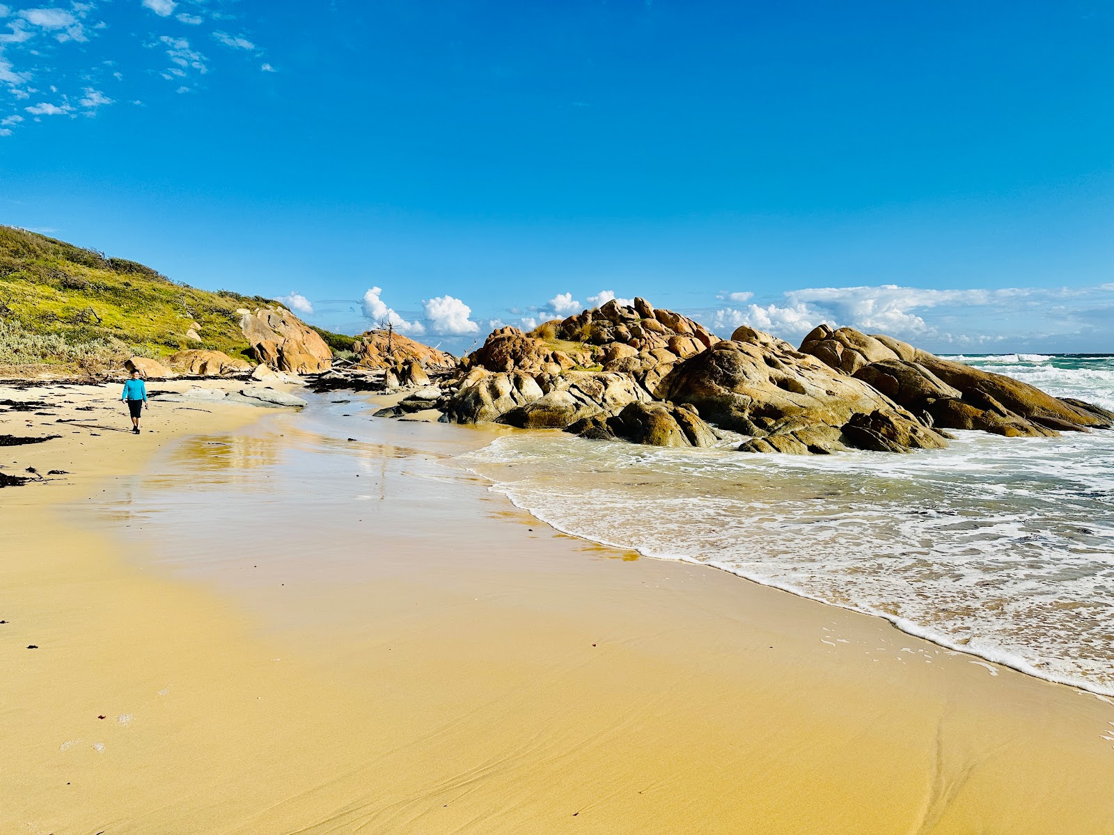 Foto av Salmon Beach vildmarksområde