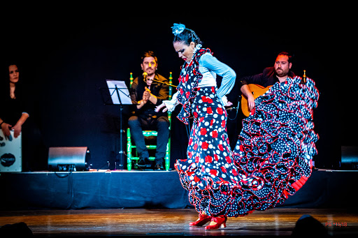 Gran Canaria Flamenco Estudio