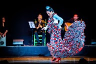 Gran Canaria Flamenco Estudio