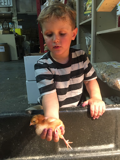 Pet Supply Store «Northern Star Mills», reviews and photos, 510 Esplanade, Chico, CA 95926, USA