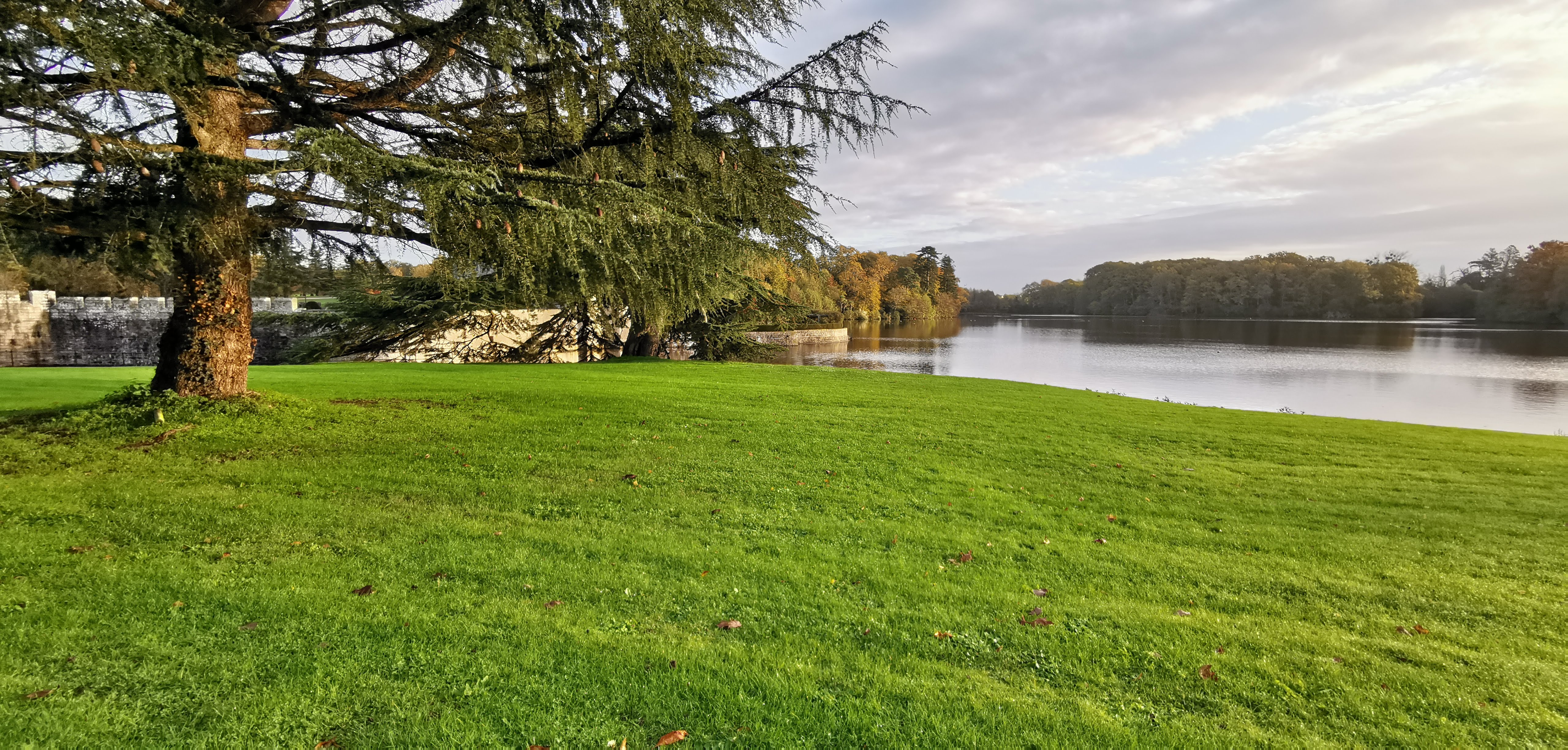 Photo n° 11 de l'avis de Jean.i fait le 12/11/2019 à 16:49