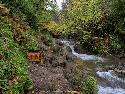 Source Sainte-Anne à Chambon-sur-Lac