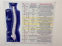 Mark M. Kosker, DC Chiropractor - Photo 7 - Car repair in Toluca Lake, CA, Los Angeles