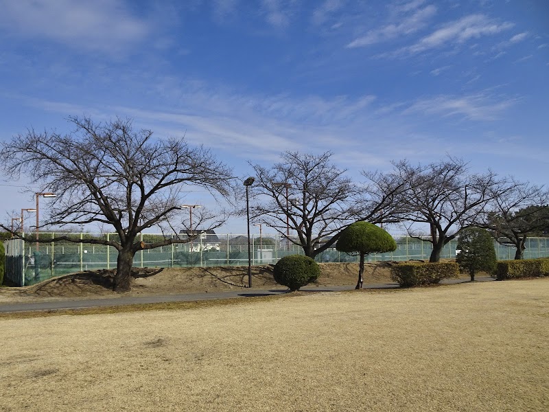 玉村総合運動公園 テニスコート