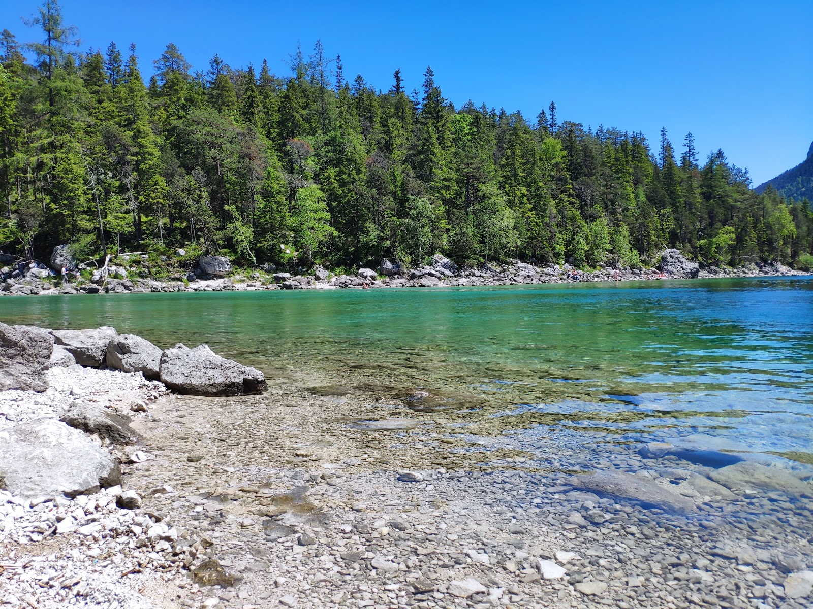 Eibsee Rundweg Beach的照片 野外区域