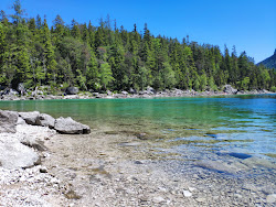 Photo de Eibsee Rundweg Beach zone sauvage