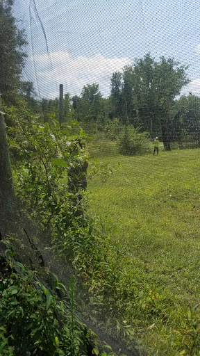 Paintball Center «Xtreme Paintball», reviews and photos, 369 Main St, Agawam, MA 01001, USA