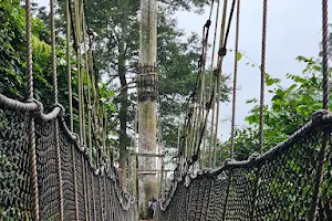 Kakum National Park Entrance image