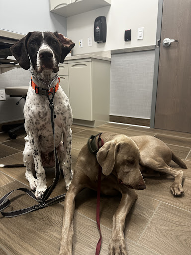 AVECCC Buckeye image