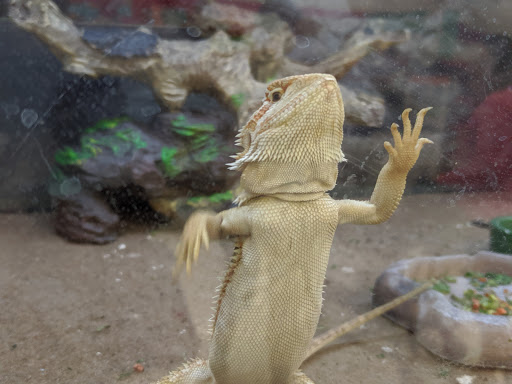 Pet Supply Store «Petco Animal Supplies», reviews and photos, 11639 S Pkwy Plaza Dr, South Jordan, UT 84095, USA