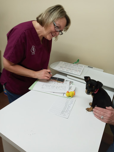 Pet Supply Store «Champion Feed & Pet Supply», reviews and photos, 2524 State Rte 37 E, Delaware, OH 43015, USA