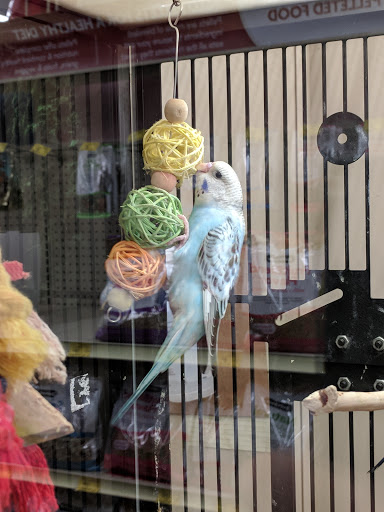 Pet Supply Store «PetSmart», reviews and photos, 19075 Interstate 45 S, Shenandoah, TX 77385, USA