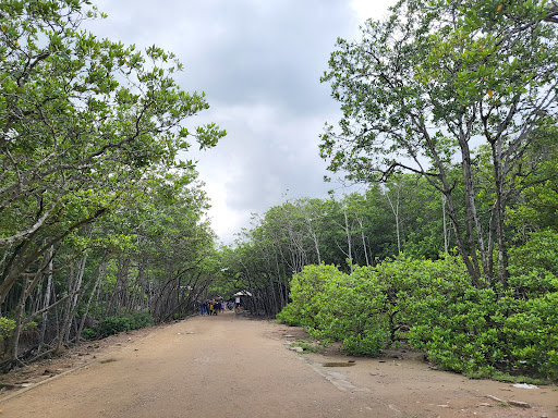 Top 20 cửa hàng play Huyện Cần Giờ Hồ Chí Minh 2022