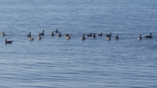 Park «Miami Beach Park», reviews and photos, 4001 Bay Dr, Middle River, MD 21220, USA