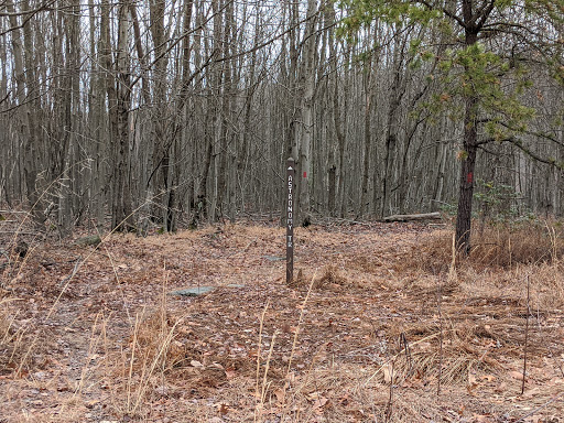 Astronomy Trail
