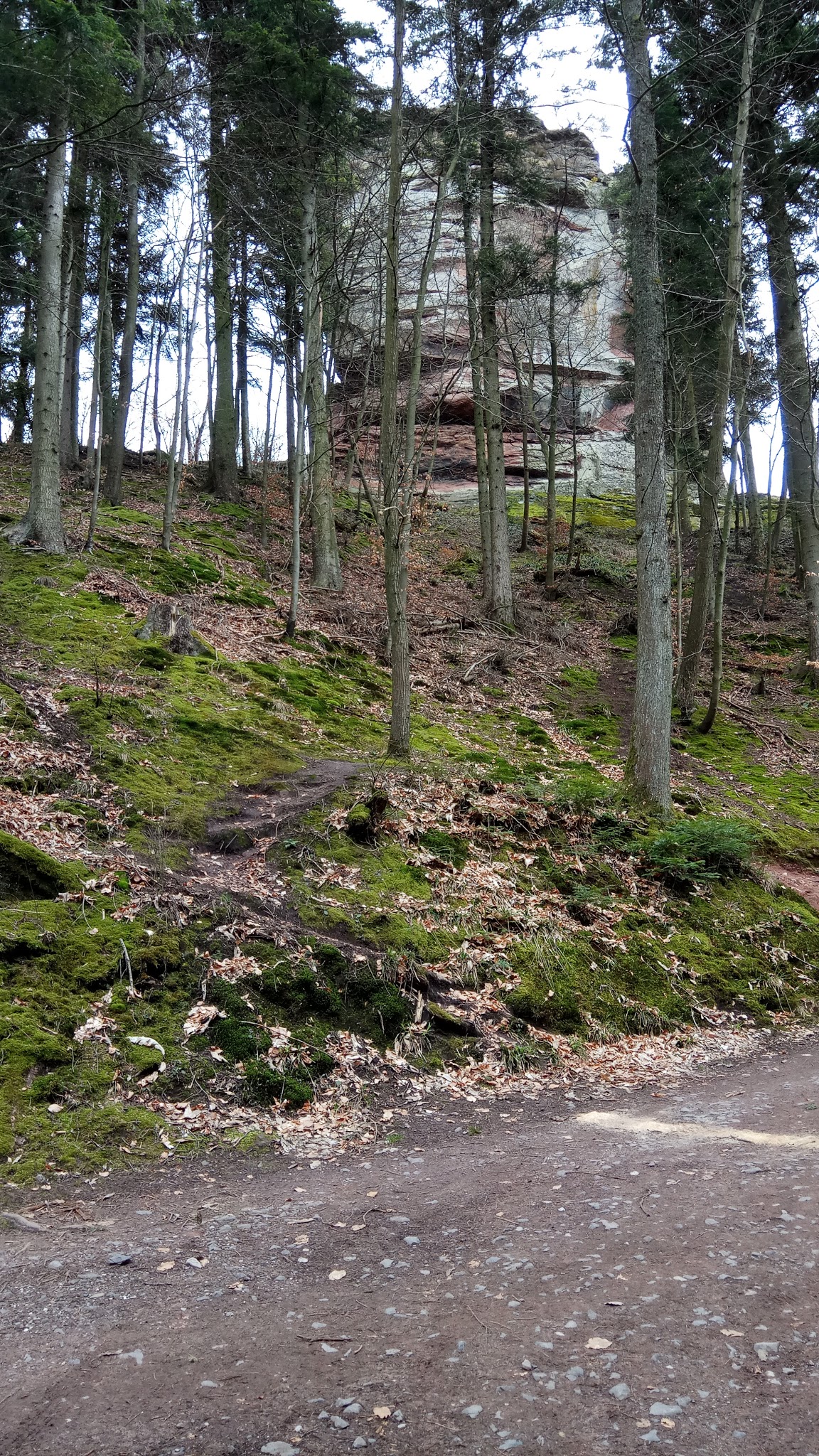 Photo n° 2 de l'avis de raphael.o fait le 03/04/2018 à 04:42