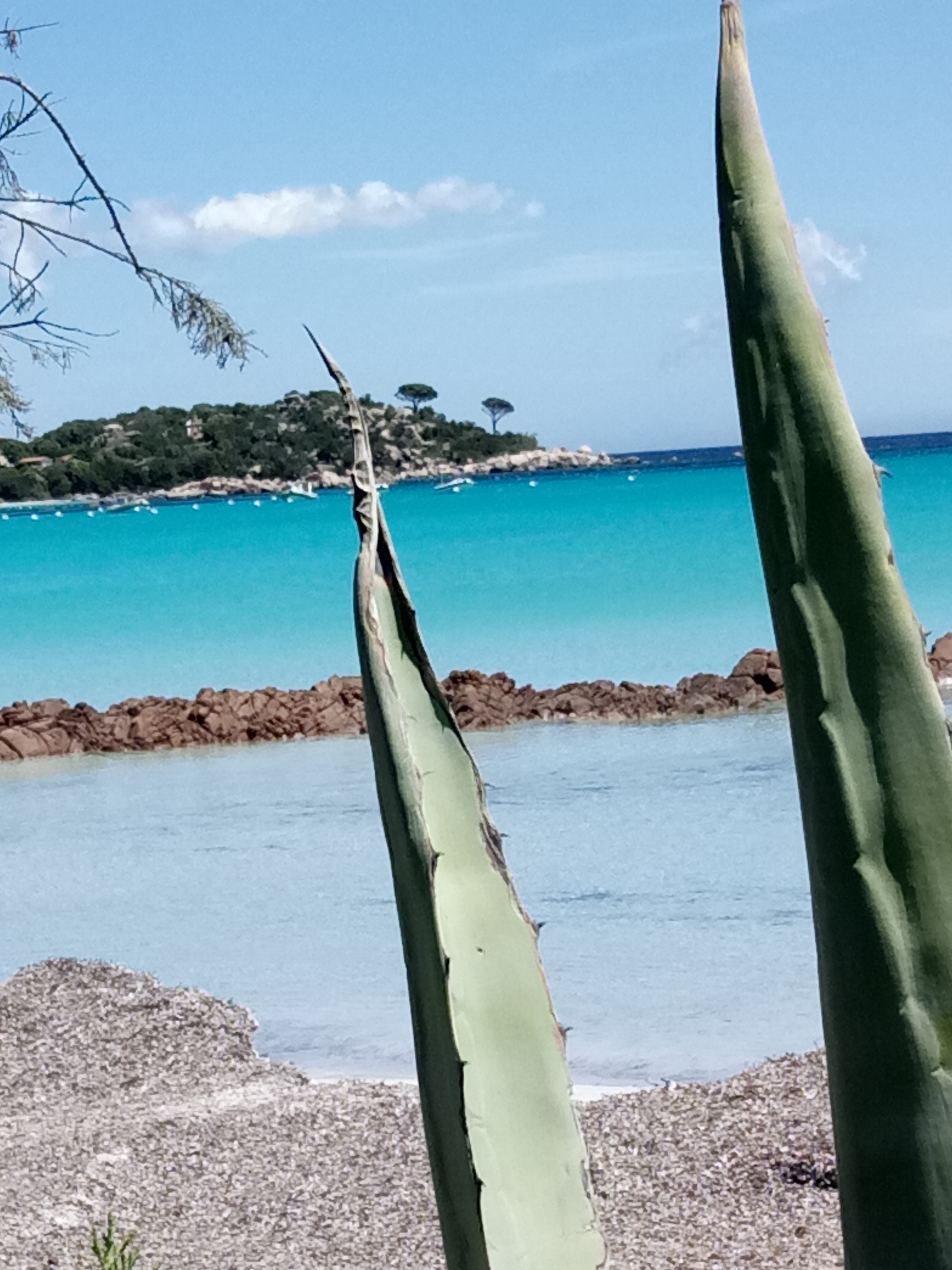 Photo n° 3 de l'avis de Nadine.e fait le 27/05/2021 à 18:39