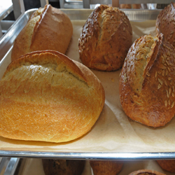 Grocery Store «City Market», reviews and photos, 2109 N Frontage Rd W, Vail, CO 81657, USA