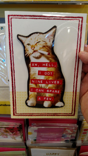 Book Store «Barnes & Noble», reviews and photos, 1163 Valley River Dr, Eugene, OR 97401, USA