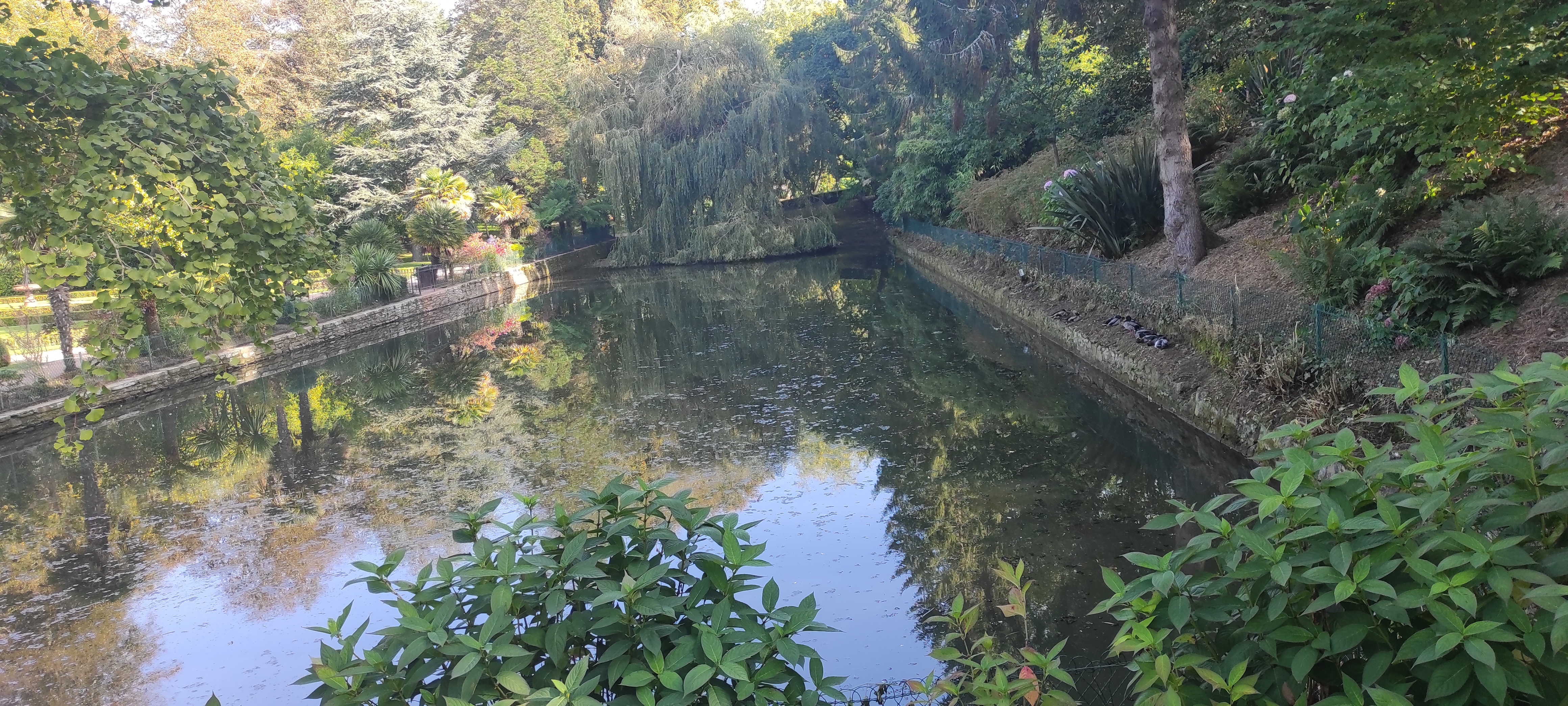 Photo n° 8 de l'avis de Marc.. fait le 18/10/2021 à 20:57