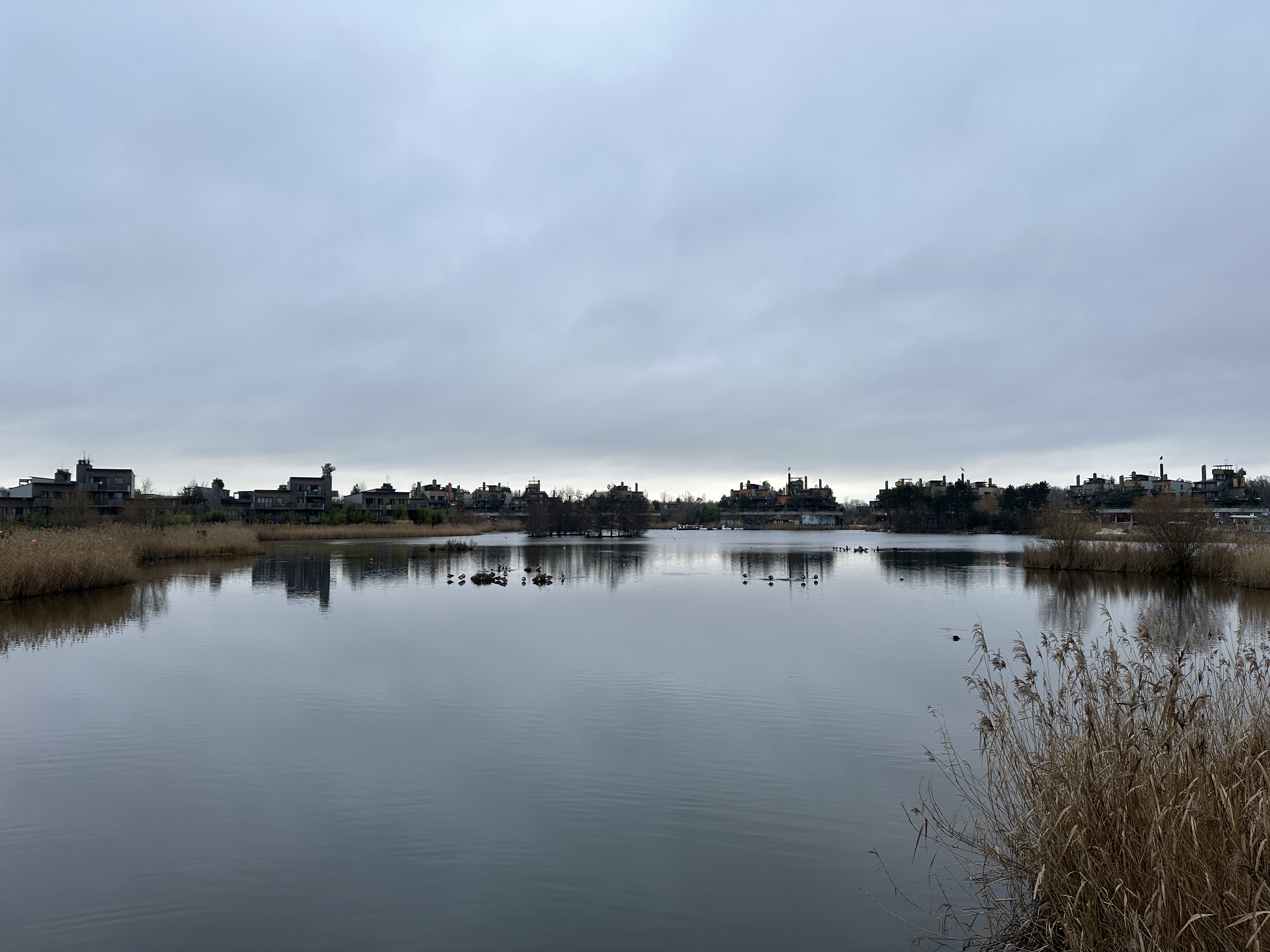 Photo n° 21 de l'avis de Adrien.. fait le 29/12/2023 à 15:08