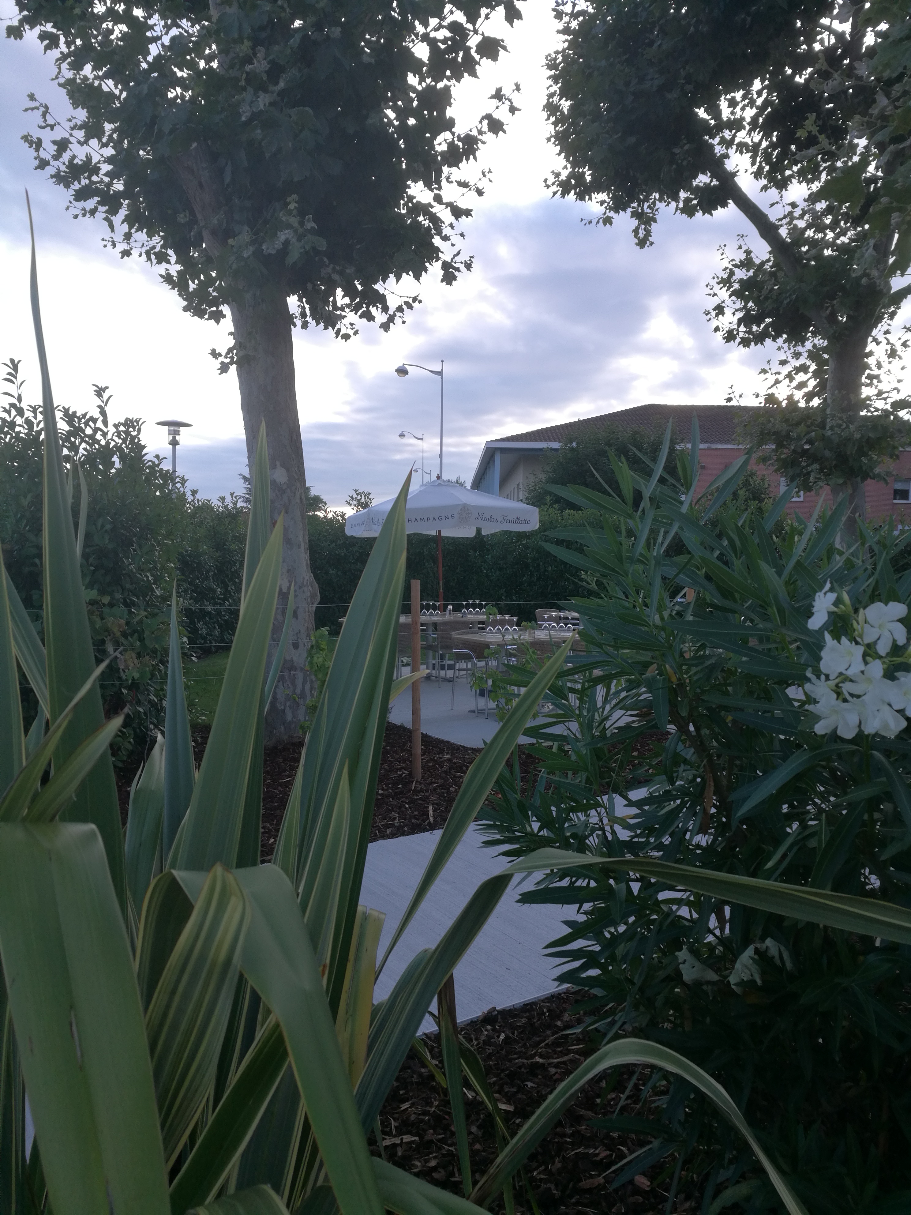 Photo n° 2 de l'avis de ROUCOU.i fait le 30/07/2018 à 15:02