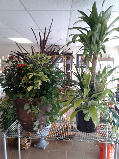 Florist «Oak Hills Florist», reviews and photos, 1729 Babcock Rd, San Antonio, TX 78229, USA