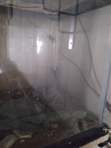 Pet Supply Store «Pet Supplies Plus», reviews and photos, 1791 W Columbia Ave, Battle Creek, MI 49015, USA