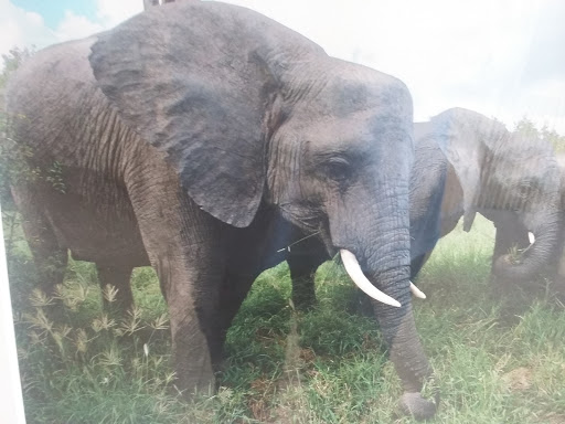 Zoo «Niabi Zoo», reviews and photos, 13010 Niabi Zoo Rd, Coal Valley, IL 61240, USA